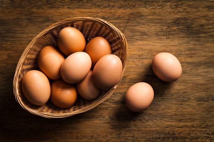 اهمیت تازگی و کیفیت تخم مرغ در انتخاب یک مرکز پخش معتبر
